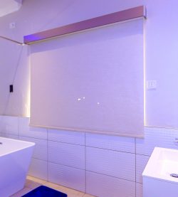 _MG_4941
